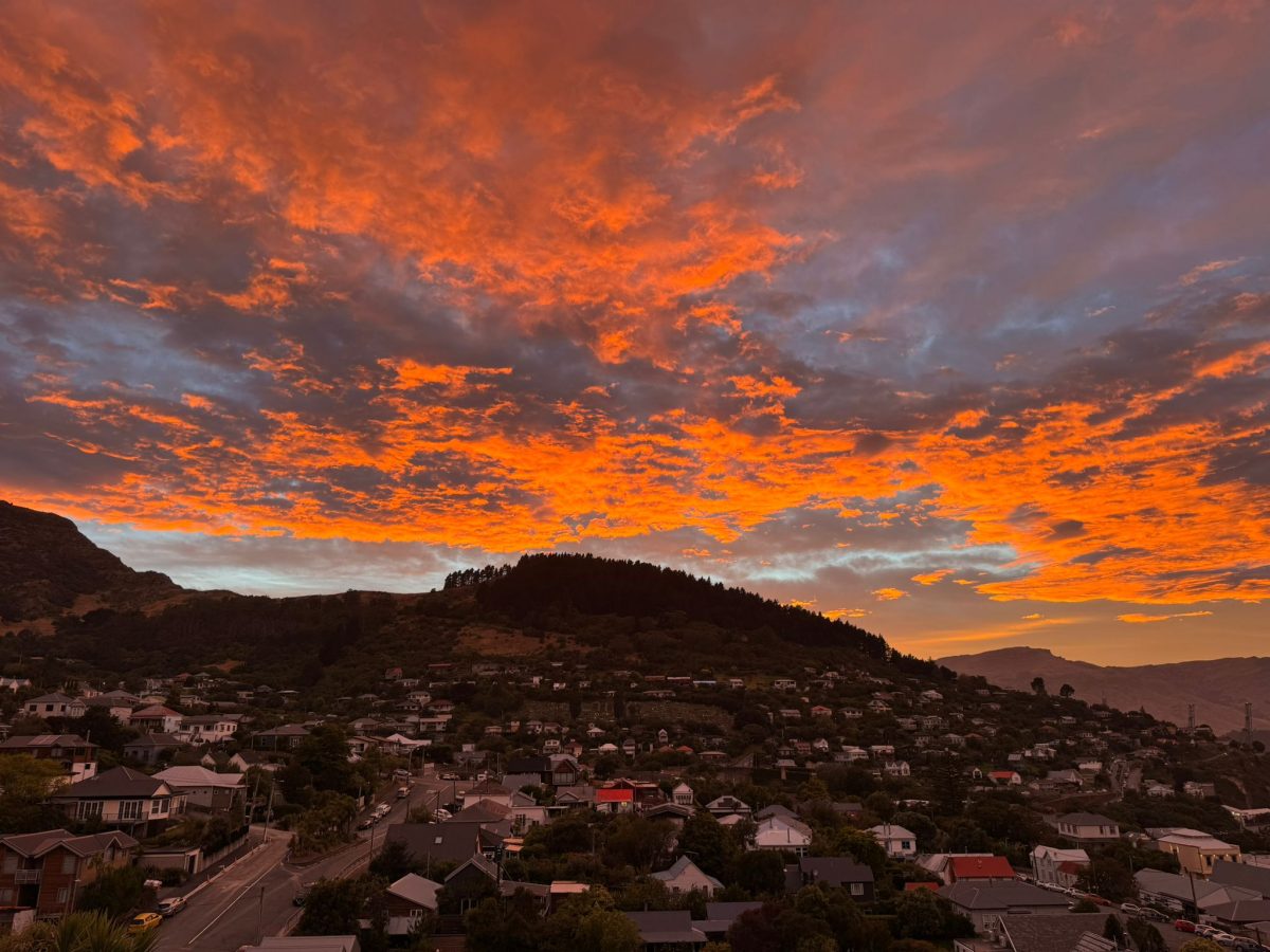 The view at dawn from my deck in Lyttelton, New Zealand.